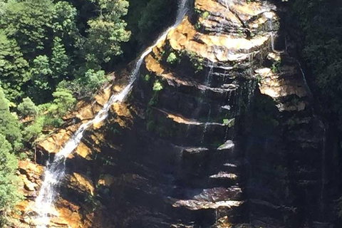 Private & Fully Guided 4-day Sydney Tour Package - Book Restaurant 2
