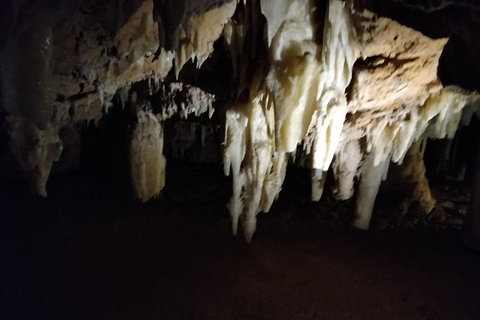 The Pinnacle Adventure Tour - Book Restaurant 0