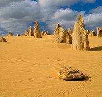 The Pinnacles Sea and Dunescapes Bush Reserve and Sunset Day Tour - Book Restaurant
