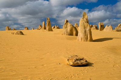 The Pinnacles Sea and Dunescapes Bush Reserve and Sunset Day Tour