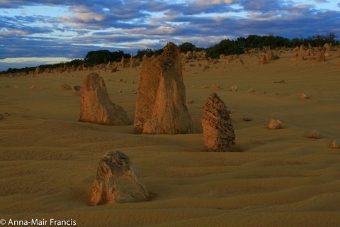 The Pinnacles, Sea And Dunescapes, Bush Reserve And Sunset Day Tour - Book Restaurant 1