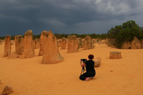The Pinnacles, Sea And Dunescapes, Bush Reserve And Sunset Day Tour - Book Restaurant 2