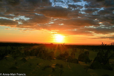 The Pinnacles, Sea And Dunescapes, Bush Reserve And Sunset Day Tour - Book Restaurant 3
