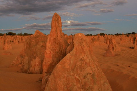 The Pinnacles, Sea And Dunescapes, Bush Reserve And Sunset Day Tour - Book Restaurant 4