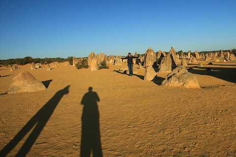 The Pinnacles, Sea And Dunescapes, Bush Reserve And Sunset Day Tour - Book Restaurant 5