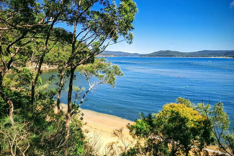 Central Coast Explorer With 'Personalised Sydney Tours' - Book Restaurant 0