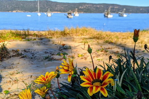 Central Coast Explorer With 'Personalised Sydney Tours' - Book Restaurant 2