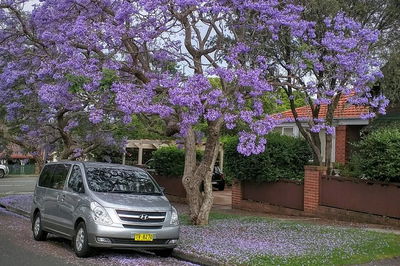 Sydney Secrets  Bondi Beach Private 4 Hr Morning with Personalised Sydney Tours