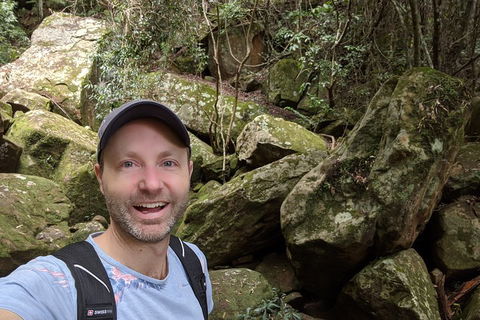 Australian Wildlife & Waterfalls Private Tour With 'Personalised Sydney Tours' - Book Restaurant 4