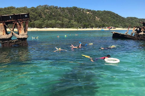 All Inclusive Dolphin And Tangalooma Wrecks Cruise - Book Restaurant 0