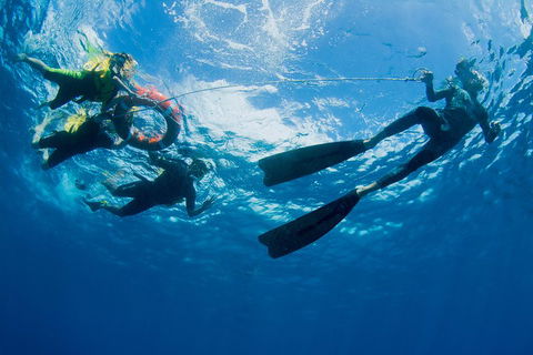 Passions Of Paradise Great Barrier Reef Snorkel And Dive Cruise From Cairns By Luxury Catamaran - Book Restaurant 2