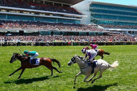 Cultural Melbourne City Tour - Book Restaurant 4