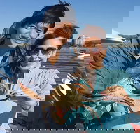 Gold Coast City Sights Tour from Gold Coast - Book Restaurant