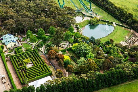 [Private Tour] Mornington Peninsula Family, Maze And Fun! - Book Restaurant 1