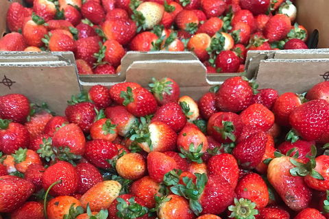 [Private Tour] Mornington Peninsula Family, Maze And Fun! - Book Restaurant 2