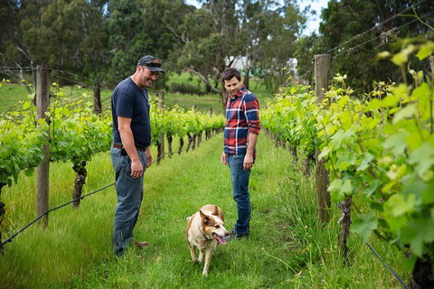 LGBT+ Friendly Full Day Yarra Valley & Dandenong Ranges Private Tour - Book Restaurant 4
