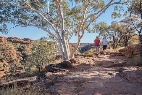 3-Day Tour From Uluru (Ayers Rock) To Alice Springs Via Kings Canyon - Book Restaurant 1