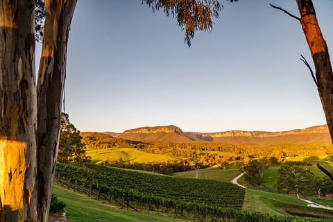Taste Of The Blue Mountains - Lunch & Wine Tasting, Beer, Cider & Gin Tasting - Book Restaurant 1