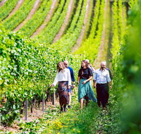 Tasmanian Wine Tour - Book Restaurant