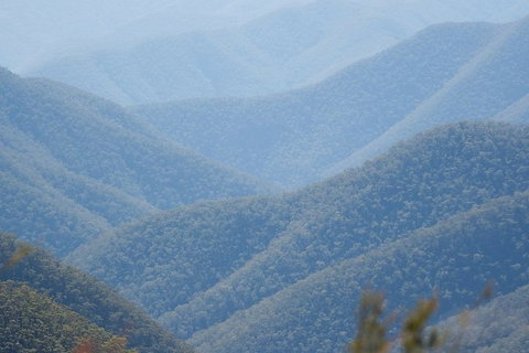 From The Mountains To The Bay - 4 Day Rediscovery Private Tour - Book Restaurant 1