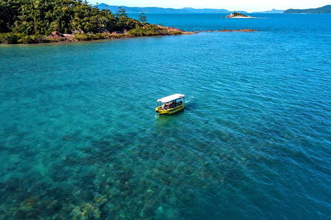 Airlie Beach Glass Bottom Boat Tour - Book Restaurant 4