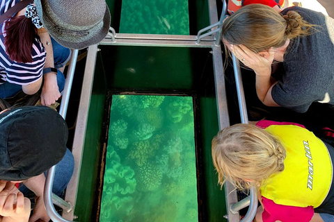 Airlie Beach Glass Bottom Boat Tour - Book Restaurant 5