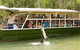 Hartley's Crocodile Adventure Half-Day Tour - thumb 0