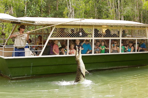 Hartley's Crocodile Adventure Half-Day Tour - Book Restaurant 0