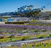 Private Hobart Discover South East Food and Scenic Tour - Book Restaurant
