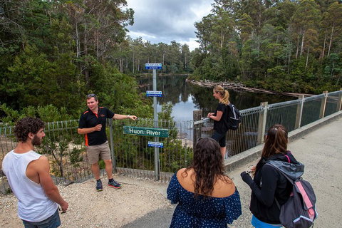 Tahune Airwalk Active Day Trip From Hobart Including Hastings Caves - Book Restaurant 1