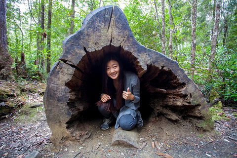 Tahune Airwalk Active Day Trip From Hobart Including Hastings Caves - Book Restaurant 2