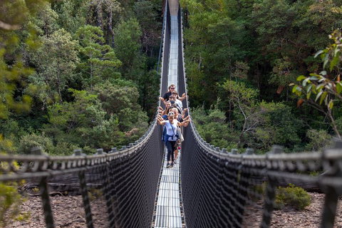 Tahune Airwalk Active Day Trip From Hobart Including Hastings Caves - Book Restaurant 3