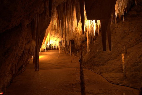 Tahune Airwalk Active Day Trip From Hobart Including Hastings Caves - Book Restaurant 4