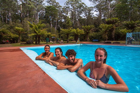 Tahune Airwalk Active Day Trip From Hobart Including Hastings Caves - Book Restaurant 5