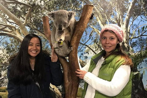 The Ultimate Sydney Attractions Pass - Book Restaurant 1