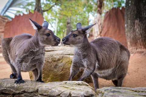 The Ultimate Sydney Attractions Pass - Book Restaurant 2