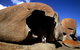 Full-Day Kangaroo Island Safari From Penneshaw - thumb 0
