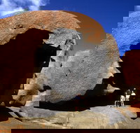 Full-Day Kangaroo Island Safari from Penneshaw - Book Restaurant