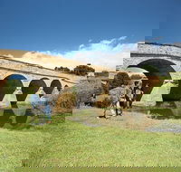 Richmond Historic Afternoon Tour from Hobart - Book Restaurant