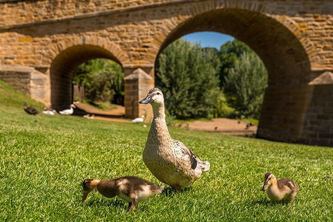 Richmond Historic Afternoon Tour From Hobart - Book Restaurant 1