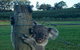 The Secret Vines Experience Port Macquarie - thumb 0