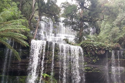 6-Day Hearty Tasmania Tour (Tasmania In A Circle) - Book Restaurant 0