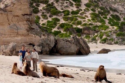Kangaroo Island Scenic Trail Tour - Book Restaurant 5