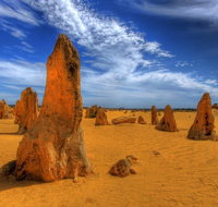 Pinnacles Desert  New Norcia Day Tour from Perth - Book Restaurant