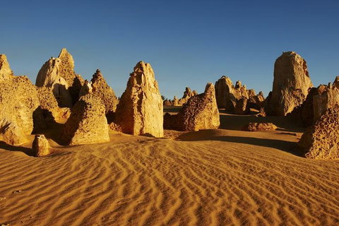Full Day Pinnacle Desert Explorer From Perth Including Hillarys And Lancelin Sandboarding - Book Restaurant 3