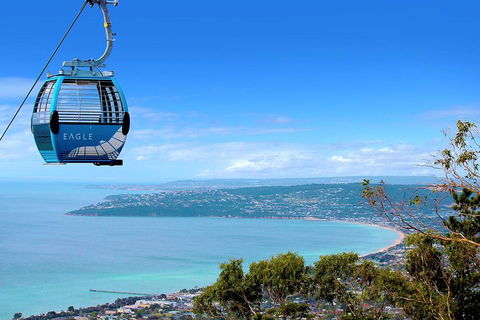 Mornington Peninsula Small Group Day Tour - Book Restaurant 2