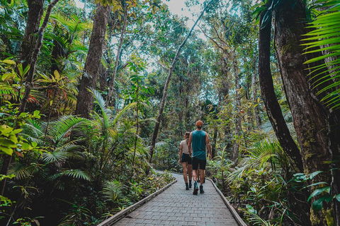 Full Day Cooktown Private Tour - Book Restaurant 0