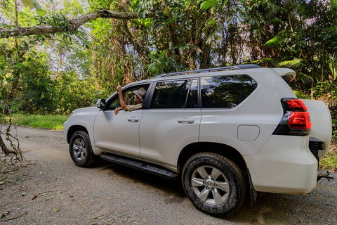Full Day Cooktown Private Tour - Book Restaurant 3