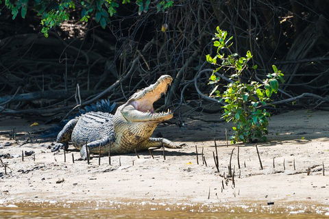 Full Day Cooktown Private Tour - Book Restaurant 4