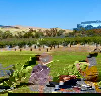 Private Picnic and Wine Tasting Experience in Barossa Valley - Book Restaurant